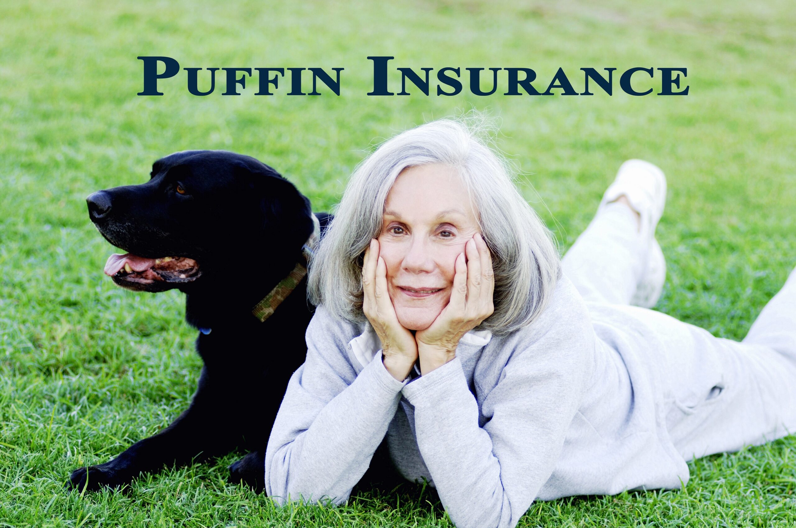 reviews on puffin travel insurance